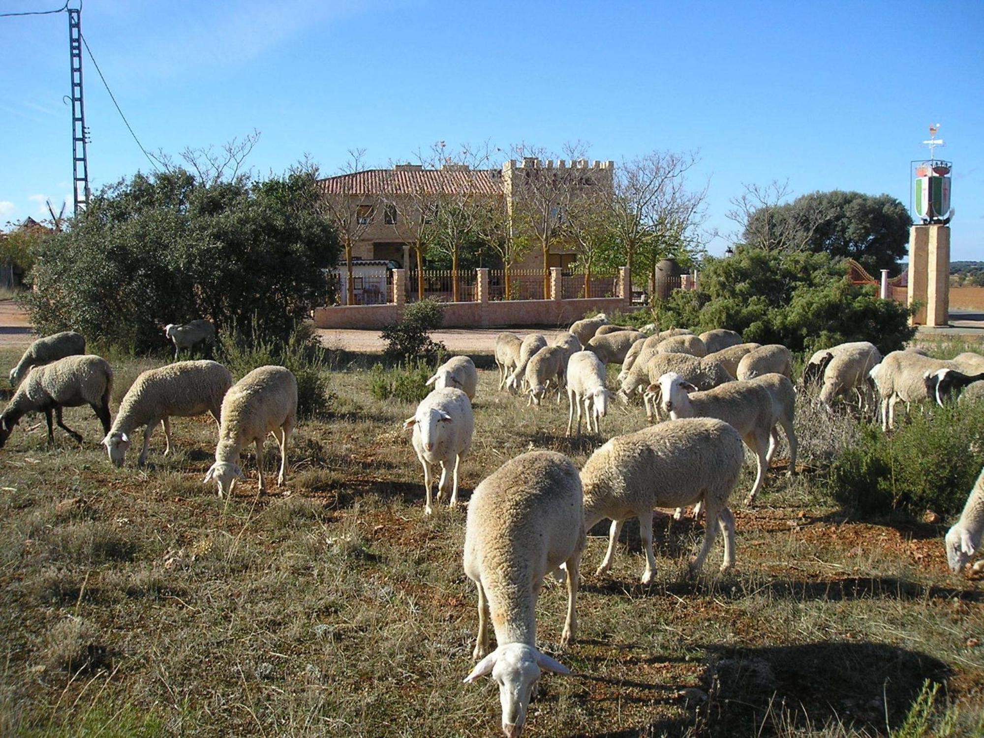 Country house Galatea Especial Grupos Ossa de Montiel
