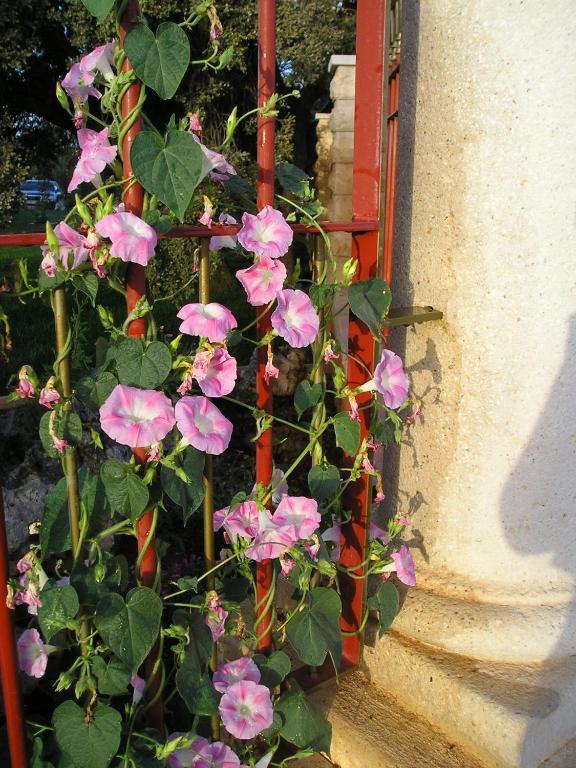 Country house Galatea Especial Grupos Ossa de Montiel